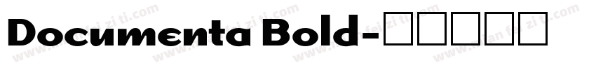 Documenta Bold字体转换